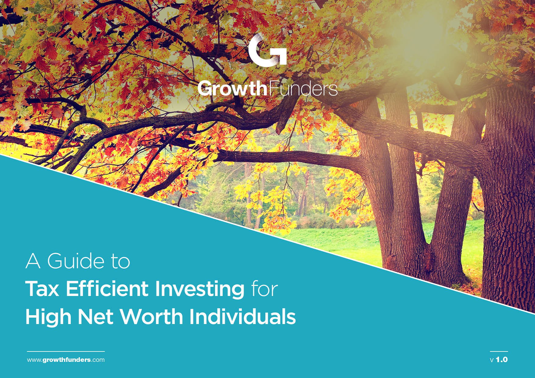 High Net Worth Individuals guide to Tax Efficient Investing COVER.jpg
